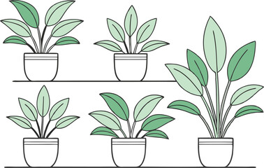 Collection of potted plants illustration