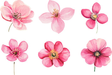 set of pink flowers