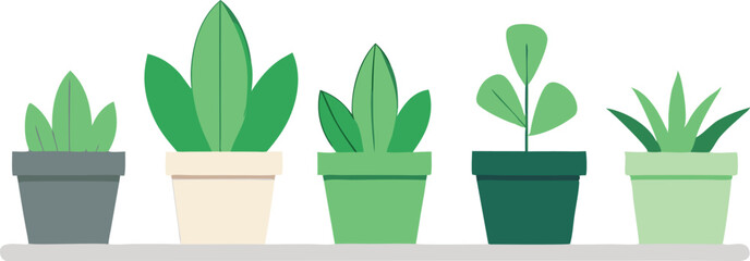 Five potted plants on a shelf minimalist illustration