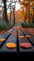 Autumn leaves on park bench, path ahead, fall colors