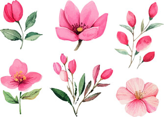 seamless pattern with pink flowers