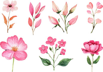 set of pink flowers