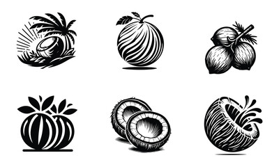 Hand-Drawn Coconut Fruit Illustrations – Black and White Tropical Art