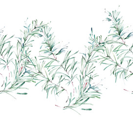 Fototapeta premium leaves seamless watercolor background. A creative pattern. Vintage seamless watercolor pattern of plants, Herbs, leaves. The pattern is seamless with a pattern of rosemary branches and pine needles.