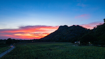 A panoramic view of dramatic mountain peaks silhouetted against a vibrant sunset sky, with fiery hues of red, orange, and pink blending into the fading blue. sunflowers fields around the mountains.