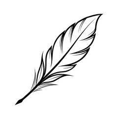 Obraz premium outline of a elegant feather line art vector