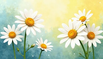Fototapeta premium Soft watercolor daisies in shades of white and yellow , watercolor art, blooms, garden