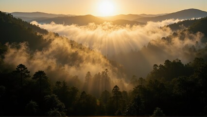 Fototapeta premium rainforest canopy dense mystical. Majestic sunrise over misty mountains, illuminating a forest landscape with golden rays breaking through the clouds.