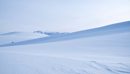 Vast Gently Undulating Snow Covered Landscape Under a Pale Blue Sky.