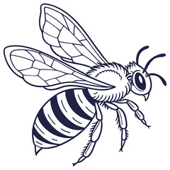 Hand Drawn Doodle Style Animals, Birds, and Fish Vectors