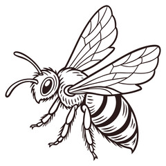 Hand Drawn Doodle Style Animals, Birds, and Fish Vectors