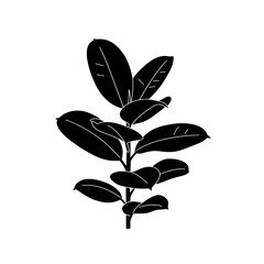 Ficus Elastica Silhouette: Elegant minimalist black-and-white graphic showcases the iconic rubber plant, offering a stylish touch of nature.