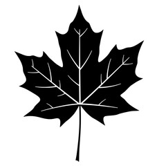 Maple Leaf Silhouette: A meticulously crafted silhouette of a maple leaf, representing the essence of the autumn season and the beauty of nature's artistry.