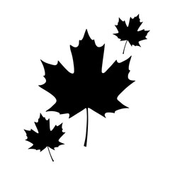 Leaf Silhouette: Three meticulously crafted black leaf silhouettes, each representing nature's artistry, creating a graphic display of elegance and simplicity. 