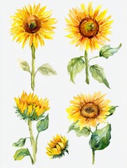 Bright watercolor sunflowers with lush green leaves asymmetric layered dynamic overlay