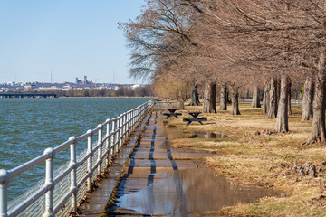 Scenic view of Hains Point in Washington DC, with a flooded riverside walkway lined by bare trees, benches, and a distant view of the city skyline