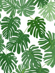 Fototapeta premium Illustrated monstera leaves arranged on pristine white background in bold tropical style bold ultrafine