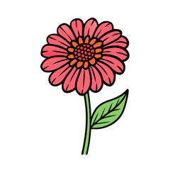 Illustration of a pink flower with a green stem and leaf drawing of a zinnia flower art