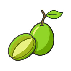 Illustration of green ambarella fruit with leaf, tropical fruit, healthy food, fresh ambarella fruit