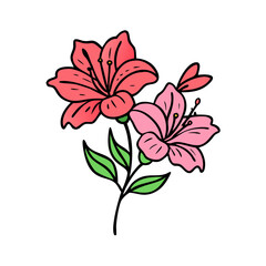 Beautiful floral illustration of pink azalea flower blossom with green leaves and stem art design