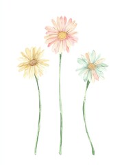 Watercolor gerbera daisy bouquet features muted peach petals radiating gentle warmth