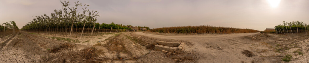 A Beautiful Scenic Vineyard Landscape Featuring a Dusty Path and an Overcast Sky Above