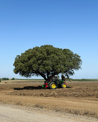 Obraz premium Tractor parked beside an olive tree in the rural countryside of Alentejo, Portugal, representing traditional agriculture and farming life.