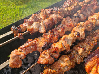 Appetizing view of meat skewers (kebabs) sizzling on a barbecue grill. Perfectly grilled, golden-brown pieces of marinated meat with a visible char and smoky aroma. Ideal stock photo for food blogs, r