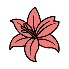 Illustration of a beautiful pink flower floral blossom bloom petal plant nature drawing line art