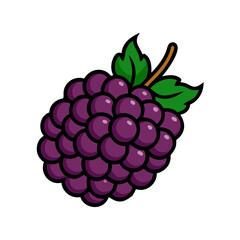 Illustration of fresh blackberry fruit with green leaves blackberry fruit food healthy diet
