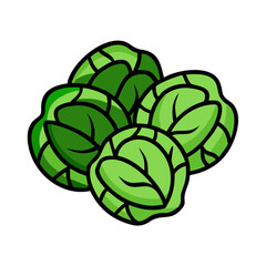 Obraz premium Fresh green brussel sprouts vector illustration healthy food nutrition vegetable grocery item drawing design