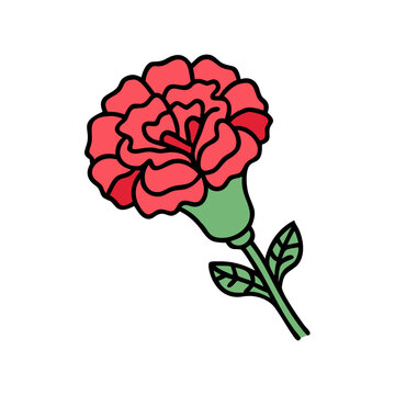 recommend clip art: Illustration of a beautiful carnation flower floral design botanical art nature plant blossom bloom