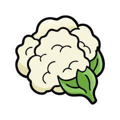 Isolated cauliflower head vegetable illustration for healthy eating and vegan lifestyle design element