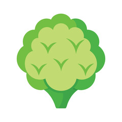 Fresh green broccoli vegetable icon illustration minimalist style design
