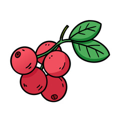 Obraz premium Delicious red lingonberry berries with green leaves lingonberry plant lingonberry fruit food berry