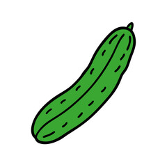Fresh green cucumber vegetable illustration healthy eating salad ingredient food clip art drawing