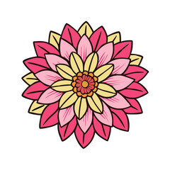 Beautiful floral design with pink and yellow petals flower blossom vector illustration art graphic