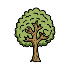 Cartoon tree drawing vector illustration of a leafy green tree for nature and forest design