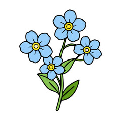 Blue forget me not flowers floral botanical illustration spring bloom blossom drawing wildflower art design