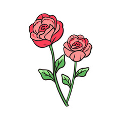 Fototapeta premium Beautiful flower illustration pink rose drawing floral design botanical art nature garden blossom
