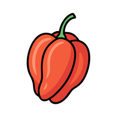 Illustration of a scotch bonnet pepper, hot pepper, chili pepper, vegetable, food, spice, red, green