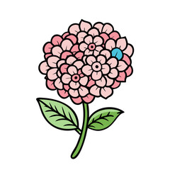 Pink flower drawing illustration vector graphic design floral bloom blossom petal botanical garden art