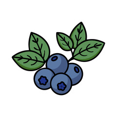Illustration of blueberries blueberry fruit berry food healthy sweet fresh leaf plant nature organic