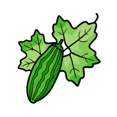 Illustration of ridge gourd vegetable with green leaves for healthy eating and cooking ideas