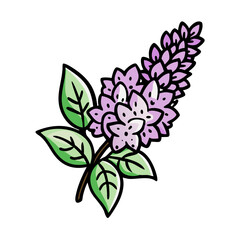 Illustration of purple flower with green leaves, botanical drawing, floral design, nature art, bloom art