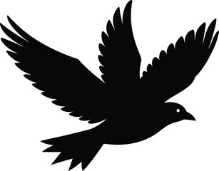 Obraz premium silhouette of a flying bird in flight 