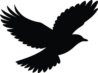 silhouette of a flying bird in flight 