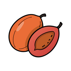 Illustration of safou fruit african plum tropical fruit exotic fruit healthy food vector design art