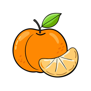 recommend clip art: Delicious orange fruit citrus slice vitamin c healthy food fresh juicy sweet tangerine clementine