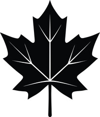 simple fallen maple leaf 